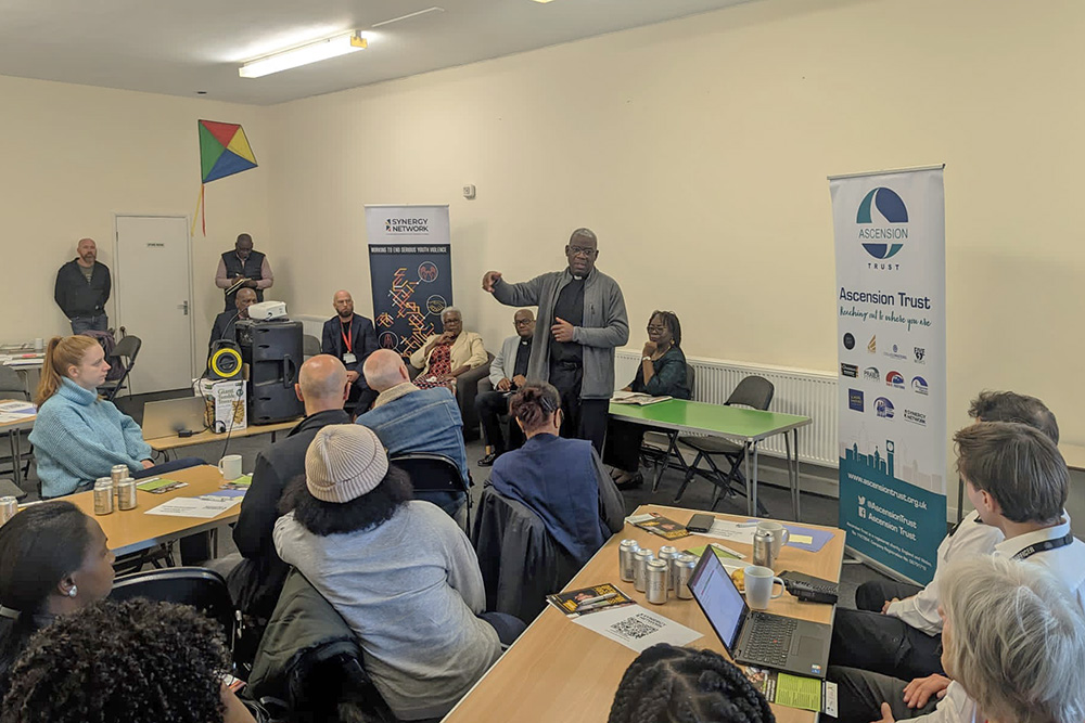 Les Isaac talking at the Synergy Network meeting